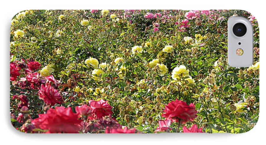 Roses iPhone 7 Case featuring the photograph Roses Roses Roses by Laurel Powell