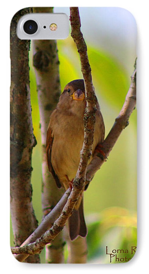 Bird iPhone 7 Case featuring the photograph Safe Refuge by Lorna Rose Marie Mills DBA Lorna Rogers Photography
