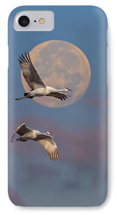 Sandhill iPhone 7 Case featuring the photograph Sandhill Cranes Passing The Moon In The Morning by Steven Llorca