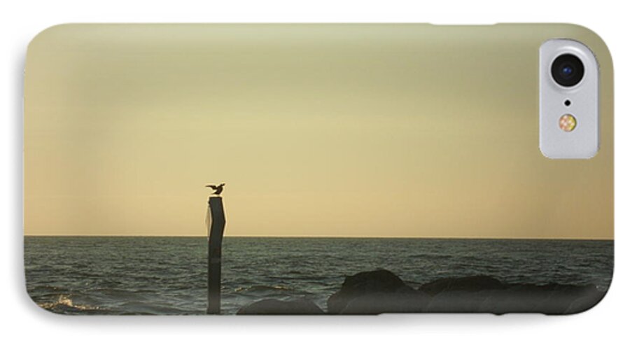 Ocean iPhone 7 Case featuring the photograph Sea Bird Landing by Val Oconnor