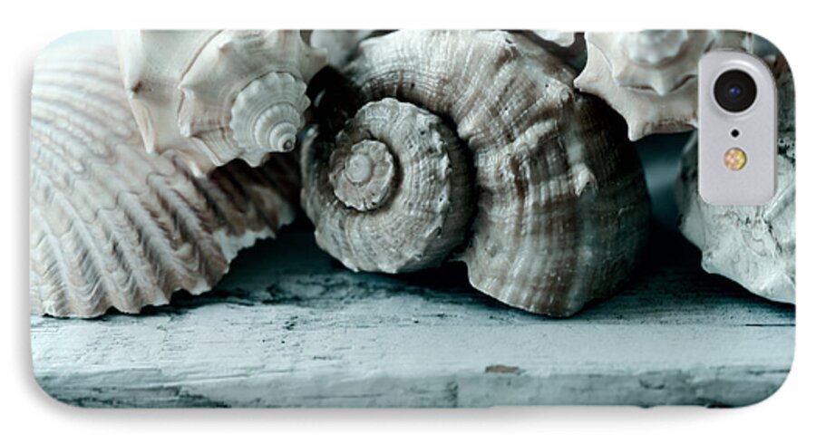 Sea Shells iPhone 7 Case featuring the photograph Sea Gifts by Bonnie Bruno