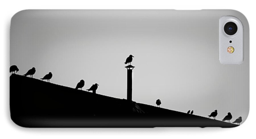 Birds iPhone 7 Case featuring the photograph Sea Gulls in Silhouette by Allan Morrison
