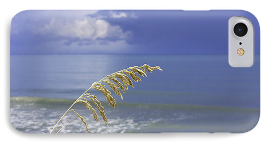 4th iPhone 7 Case featuring the photograph Sea Oats Ahead of the Storm by Karen Stephenson