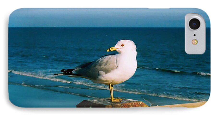 Seagull iPhone 7 Case featuring the digital art Seagull by Kara Stewart