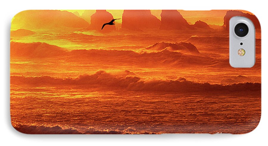 Oregon iPhone 7 Case featuring the photograph Seagull Soaring Over the Surf at Sunset Oregon coast by Dave Welling