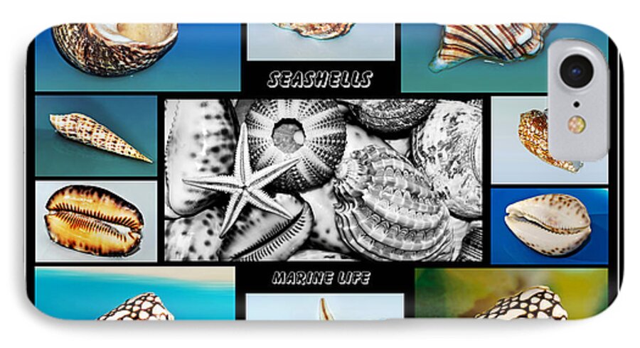 Photography iPhone 7 Case featuring the photograph Seashell Collection by Kaye Menner
