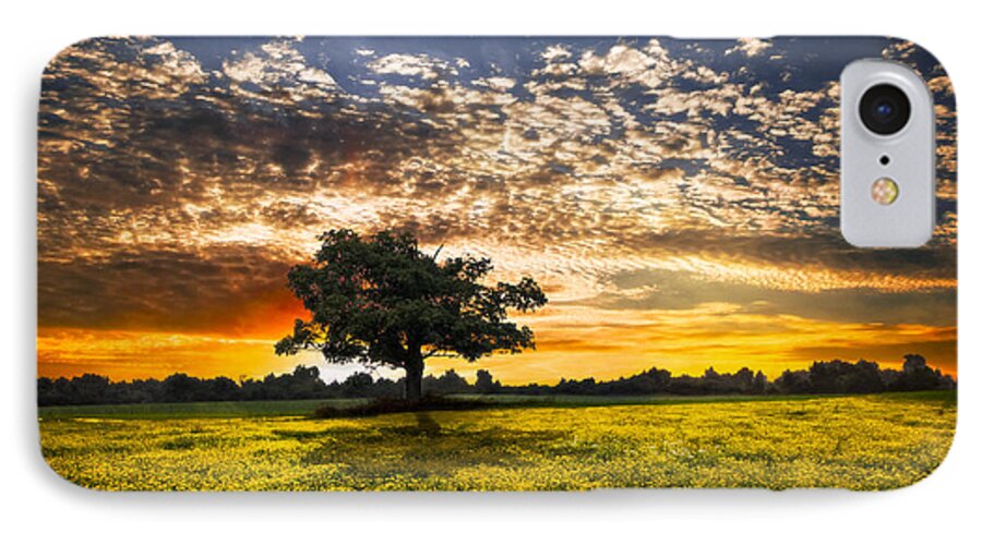Barns iPhone 7 Case featuring the photograph Shadows At Sunset by Debra and Dave Vanderlaan