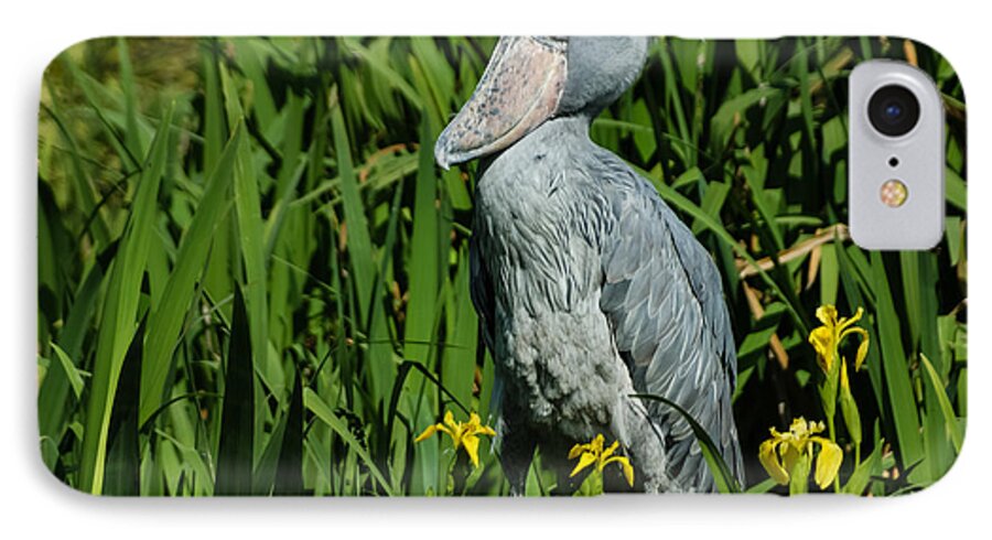 Shoebill Stork iPhone 7 Case featuring the photograph Shoebill Stork by Georgia Mizuleva