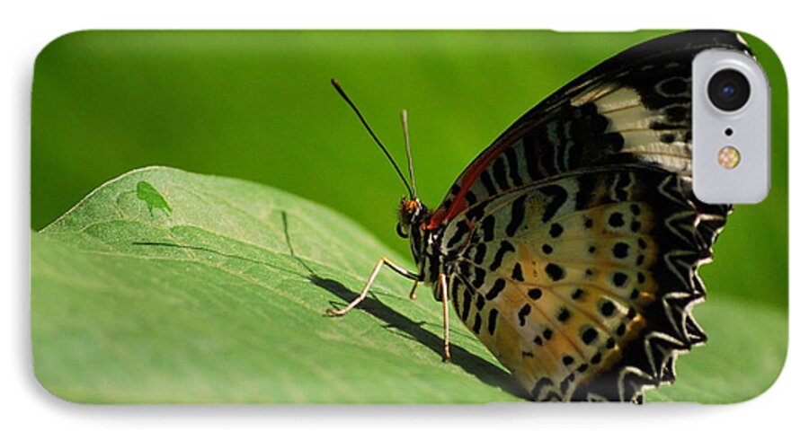 Butterfly iPhone 7 Case featuring the photograph Showing off the design by Amee Cave