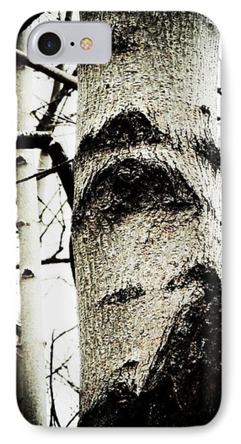Tree iPhone 7 Case featuring the photograph Silent Witness by Zinvolle Art