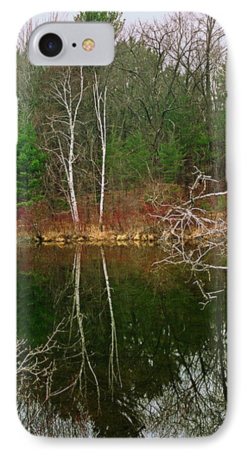 Silver Creek iPhone 7 Case featuring the photograph Silver Creek by Kris Rasmusson