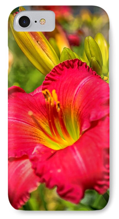 Lily iPhone 7 Case featuring the photograph Simple Lily by James Meyer