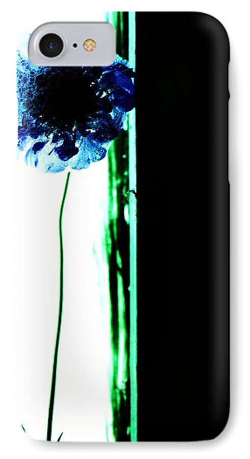 Flowers Blue Windows Still Life Plants Green iPhone 7 Case featuring the photograph Simply by Jessica S