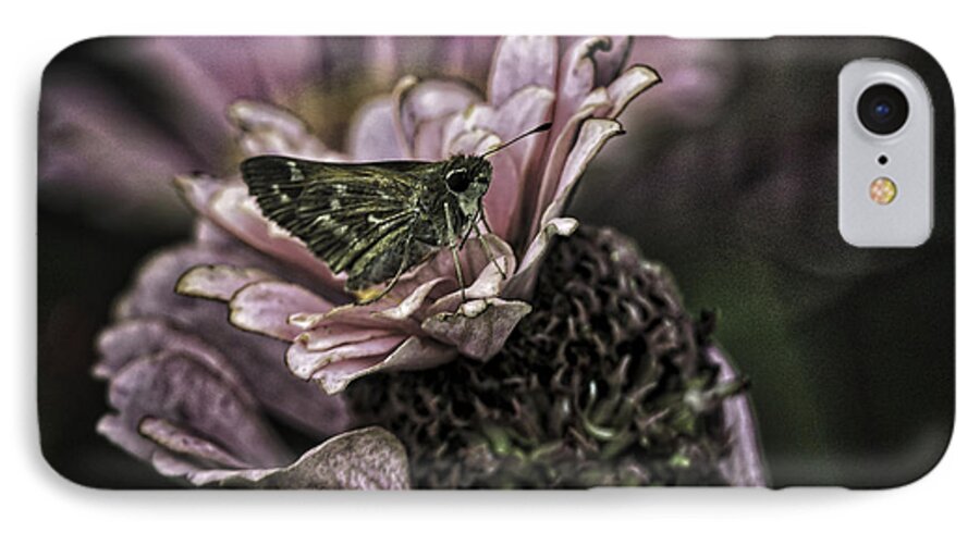 Botanical Gardens iPhone 7 Case featuring the photograph Skipper on flower by Donald Brown