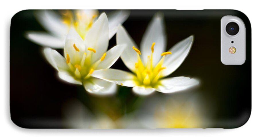 Flowers Close Up iPhone 7 Case featuring the photograph Small White Flowers by Darryl Dalton