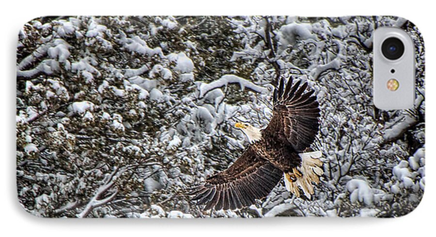 Bald Eagle iPhone 7 Case featuring the photograph Snow Flight Bald by Britt Runyon