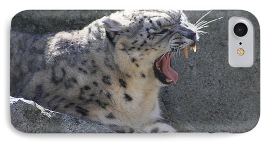 Panthera Uncia iPhone 7 Case featuring the photograph Snow Leopard Yawn by Neal Eslinger
