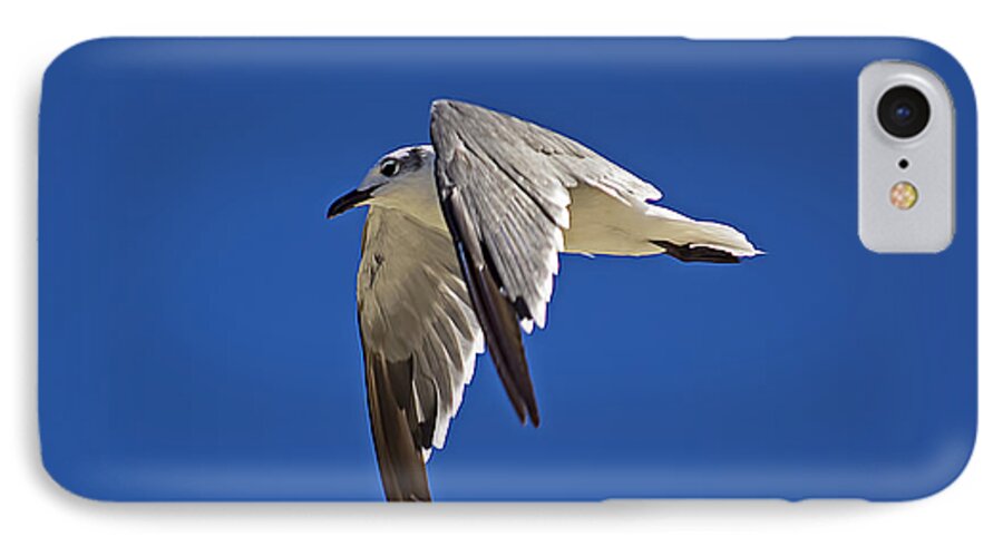 Wildlife iPhone 7 Case featuring the photograph Soaring High by Kenneth Albin