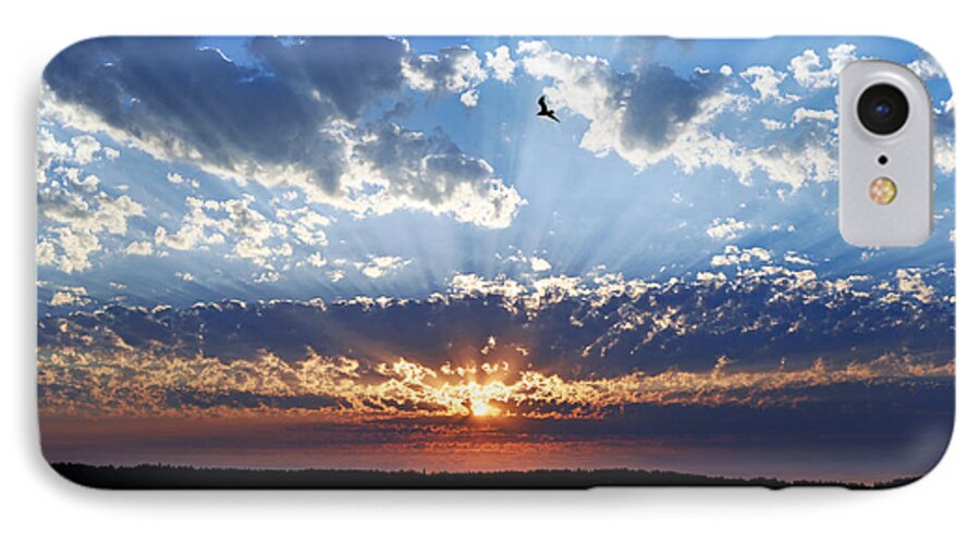 Day Island iPhone 7 Case featuring the photograph Soaring Sunset by Anthony Baatz