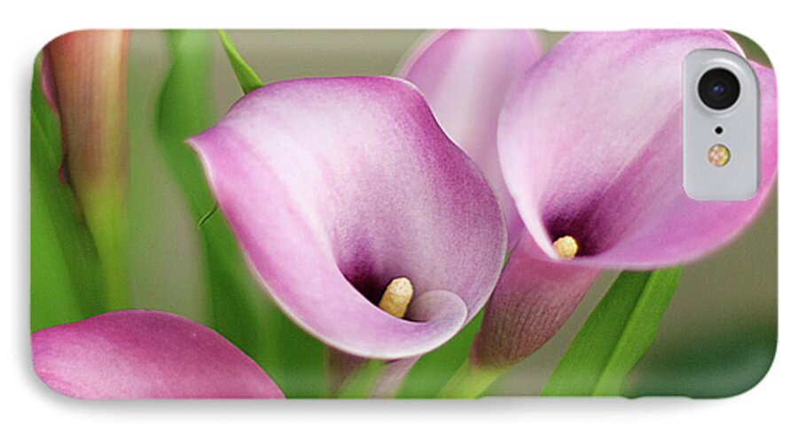 Calla Lily iPhone 7 Case featuring the photograph Soft Pink Calla Lilies by Byron Varvarigos