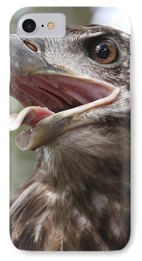 Beak iPhone 7 Case featuring the photograph Soul Kiss by Bob Slitzan