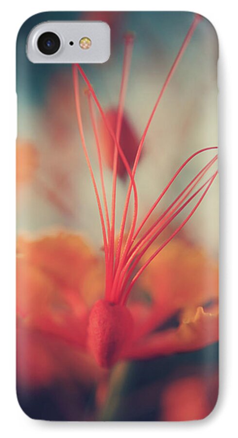 Flowers iPhone 7 Case featuring the photograph Spread the Love by Laurie Search