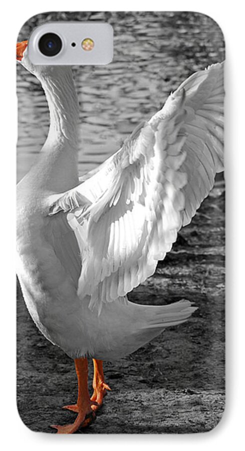 Landscape iPhone 7 Case featuring the photograph Spread Your Wings B and W by Lisa Phillips
