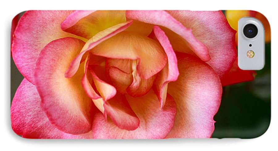 Flower iPhone 7 Case featuring the photograph Spring Beauty by Joan Bertucci