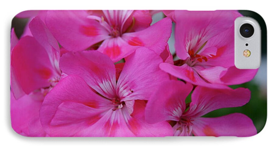 Flower iPhone 7 Case featuring the photograph Spring Birth by Roseann Errigo