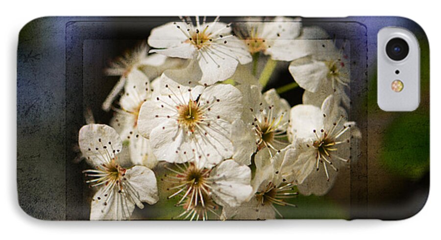 Bradford Pear Blooms iPhone 7 Case featuring the photograph Spring in Bloom by Melinda Dreyer