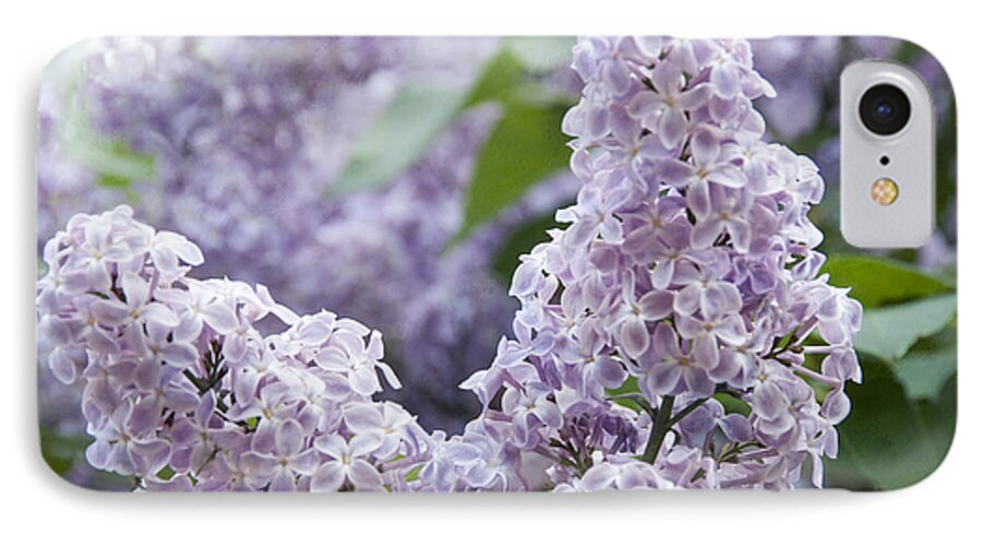 Blooming Common Lilac iPhone 7 Case featuring the photograph Spring Lilacs in Bloom by Juli Scalzi