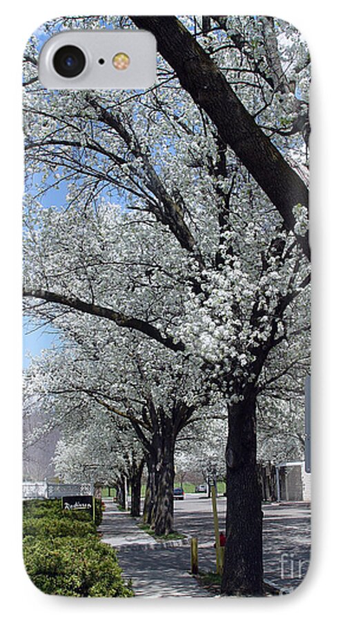 Corning New York iPhone 7 Case featuring the photograph Springtime Corning NY 2 by Tom Doud