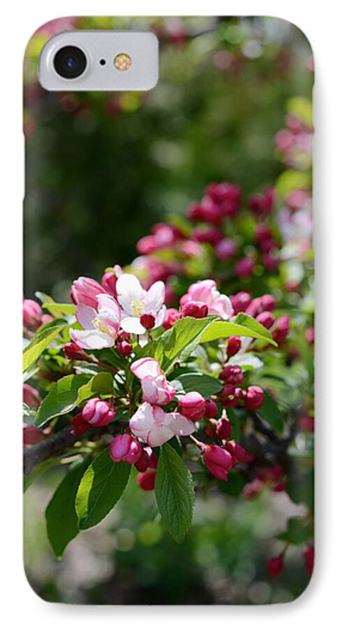 Spring iPhone 7 Case featuring the photograph Springtime by Linda Mishler