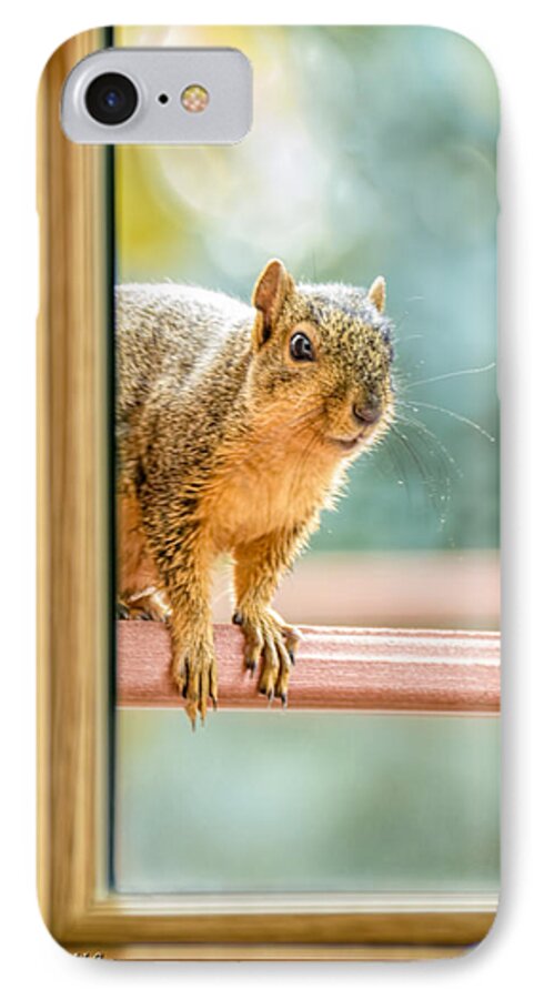 Animals iPhone 7 Case featuring the photograph Squirrel in the Window by LeeAnn McLaneGoetz McLaneGoetzStudioLLCcom