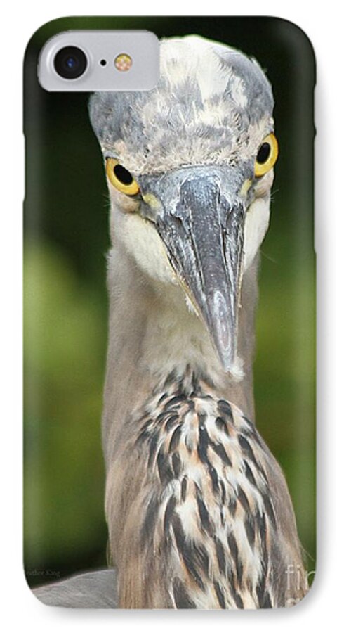 Bird iPhone 7 Case featuring the photograph Staredown by Heather King
