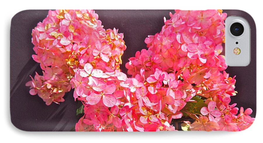 Flora iPhone 7 Case featuring the photograph Strawberry Cream by Randy Rosenberger