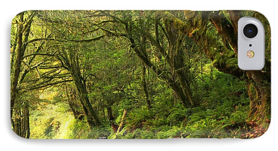 Oregon Rainforest iPhone 7 Case featuring the photograph Subaru In The Rainforest by Adam Jewell