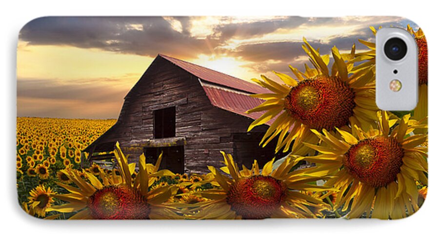 Barn iPhone 7 Case featuring the photograph Sunflower Dance by Debra and Dave Vanderlaan