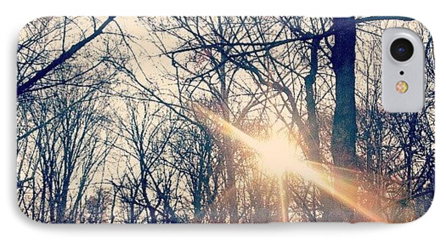 Photooftheday iPhone 7 Case featuring the photograph Sunlight Through The Trees by Genevieve Esson