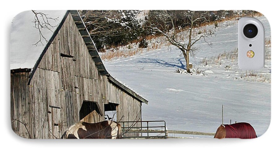 Horses iPhone 7 Case featuring the photograph Sunny Snow Day by Denise Romano
