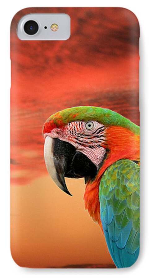 Parrot iPhone 7 Case featuring the photograph Sunset in the Tropics by Rosalie Scanlon