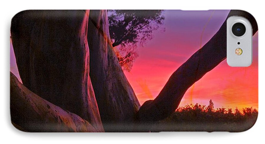 Trees iPhone 7 Case featuring the photograph Sunset Madrone 3 by Anne Thurston