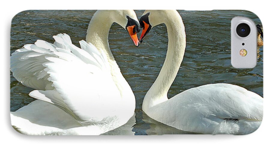 Nature iPhone 7 Case featuring the photograph Swans At City Park by Olivia Hardwicke