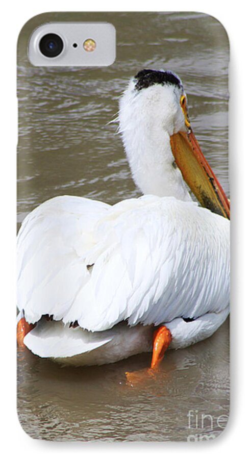 Bird iPhone 7 Case featuring the photograph Swimming Away by Alyce Taylor