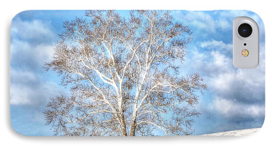 Sycamore iPhone 7 Case featuring the photograph Sycamore Winter by Jaki Miller