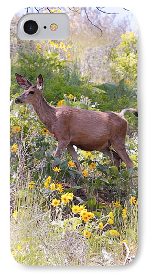 Deer iPhone 7 Case featuring the photograph Taking a Stroll in the Country by Athena Mckinzie