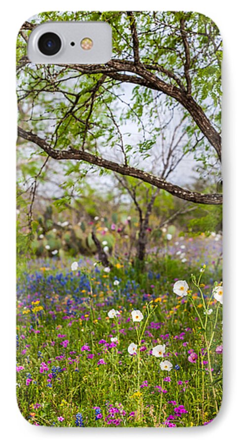Lupinus Texensis iPhone 7 Case featuring the photograph Texas Roadside Wildflowers 732 by Melinda Ledsome