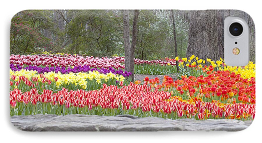 Red iPhone 7 Case featuring the photograph The Abundance of Spring by Robert Camp