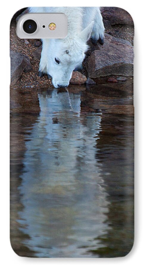 Mountain Goat Photograph iPhone 7 Case featuring the photograph The Apparition by Jim Garrison