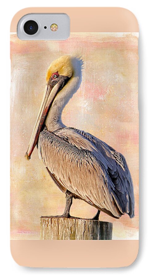 Brown Pelican iPhone 7 Case featuring the photograph Birds - The Artful Pelican by HH Photography of Florida